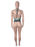 SC Halterneck Tie Up Mesh Tank Top SHD-9985