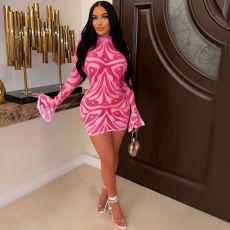 SC Mesh Print Long Sleeve Mini Dress YD-1175