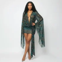 SC Mesh Deep V Neck Print Mini Dress GSZM-J26DS170