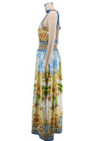 SC Colorful Print Deep V Neck Maxi Dress XHXF-487