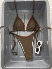 SC Sexy Rose Bikinis Two Piece Swimsuit CSYZ-G806V