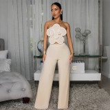 SC Flowers Tube Top Solid Two Piece Pants Set CYA-902390
