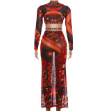 SC Long Sleeve Print Top Long Skirts 2 Piece Set DLSF-K6S10203A