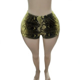 SC Snake-Print Low-Rise Shorts GNJF-19880