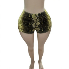 SC Snake-Print Low-Rise Shorts GNJF-19880
