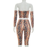 SC Snake Print Wrap Chest Top Two Piece Pants Set GDSF-D26ST206