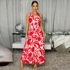 SC V Neck Halterneck Print Maxi Dress BY-7790