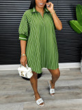 SC Stripe Lapel Lantern Sleeve Shirt Dress HNIF-MC044