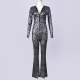 SC Leopard Printed Long Sleeve Two Piece Pants Set GNZD-11804