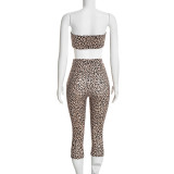 SC Leopard Printed Long Sleeve Three Piece Pants Set GDSF-D26ST401