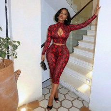 SC Printed Long Sleeve Hollow Out 2 Piece Set MXBF-J26ST478