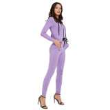 Purple Jumpsuit Full Sleeve Hooded Neck Visual Effect