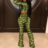Green Fancinating Full Sleeves Leopard Top And Pants 