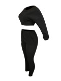 Hawaii Black Cropped Pocket Long Sleeves Sports Suit With Stylish Comfort Design 