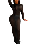 Black Sheer Mesh Open Back Bodycon Dress Unique Fashion Style