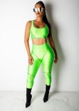 Casual Skinny Fitness Sports Two Piece Pants Set WY-6585