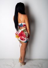 Floral Print Crop Top Mini Skirt 2 Piece Set YM-9110