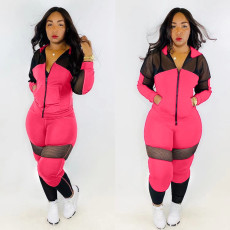 Casual Mesh Patchwork Hooded Tracksuit 2 Piece Set TR-963