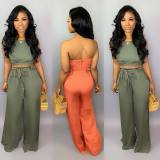 Sexy Crop Tops And Wide Leg Pants Two Piece Set BS-1079