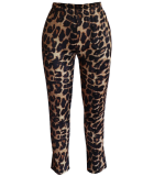 Leopard Print 2pcs Long Cardigan+Pants Set TE-3542