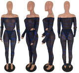 Sexy Mesh See Through Bodysuit And Pant Sets MEI-9060