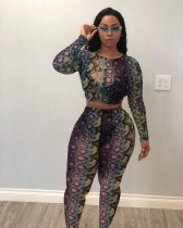 Plus Size Snake Skin Print Long Sleeve 2 Piece Set CL-6035