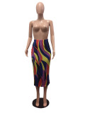 Colorful Strip High Waist Slim Long Skirt CHY-1055