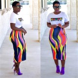 Colorful Strip High Waist Slim Long Skirt CHY-1055