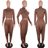 Solid Long Sleeve Top Harem Pants 2 Piece Suit LUO-3039