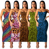 Sexy Leopard Print Spaghetti Strap Slim Long Maxi Dress TE-3812