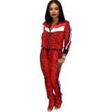 Casual Tracksuit Zipper Long Sleeve 2 Piece Sets SFY-063