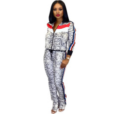 Casual Tracksuit Zipper Long Sleeve 2 Piece Sets SFY-063