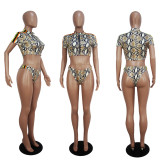 Snake Skin Print Swimsuit 2pcs Bikinis Set SHD-9068