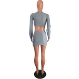 2Pcs Crop Top Mini Pencil Skirt Sets MTY-667-1