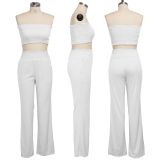 Solid Tube Tops Long Pants Sexy Two Piece Suits SMR-9613