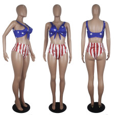 Plus Size Sexy America Flag Print Bikinis Sets SHD-9266