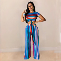 New Sexy Striped T-shirt Pants Two Piece Set With Belt DAI-8134