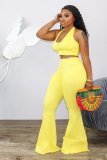 Sexy Halter Backless Tops Flare Pants 2 Piece Sets HM-6338