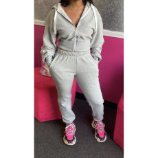 Solid Hooded Zipper Long Sleeve 2 Piece Jogger Sets HHF-9039