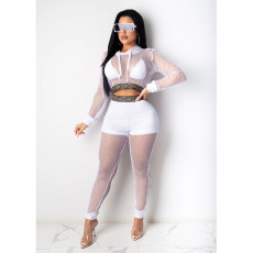 Plus Size Sexy Mesh Hollow Hooded Two Piece Sets CQ-070