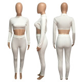 Solid Long Sleeve Slim Fit Two Piece Pants Set NIK-182