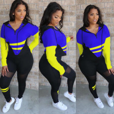 Plus Size Casual Sports Hoodies Two Piece Pants Set MTY-6578