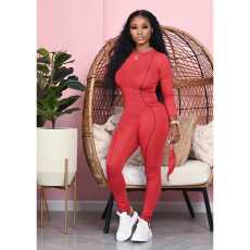 Solid Color Skinny Sexy Long Sleeve Jumpsuit Without Mask LS-0319