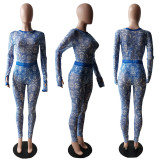 Sexy Mesh See Through Print Jumpsuit XMF-017