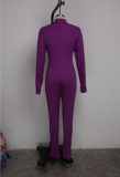 Sexy Long Sleeve Zipper Tight Jumpsuits Without Mask SMR-9732