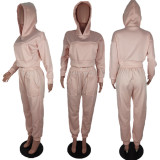 Plus Size Solid Plush Hoodies Pants Two Piece Sets BLI-2178