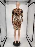 Sexy Leopard Mesh Patchwork Bodycon Dress Without Mask WSM-5206