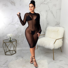 Sexy Mesh See Through Night Club Dress SMR-9883