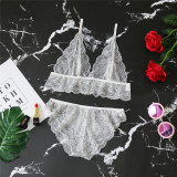 Sexy See Through Underwear Bralette Lingerie Sets YQ-S170