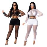 Sexy Mesh See Though Hooded 2 Piece Sets (Without Bra Top) SMR-9859